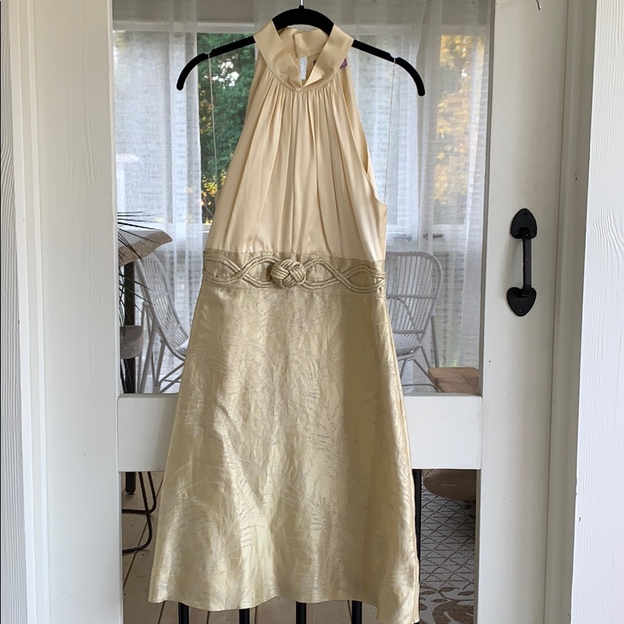 Vivienne Tam Dress